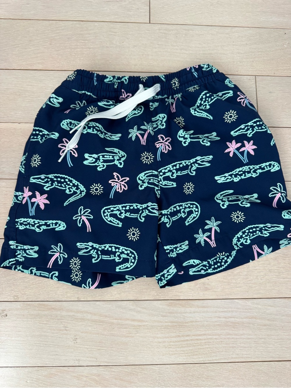 Chubbies Navy Swim Shorts with Mint & Pink Print